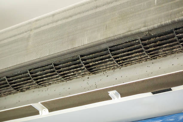 Affordable HVAC Duct Cleaning in Lafourche Crossing, LA